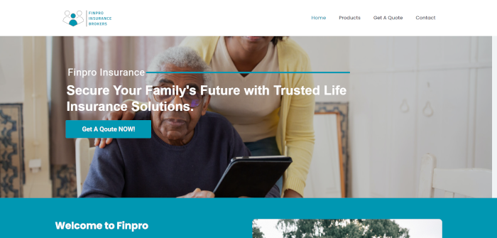 FinPro Insurance Website